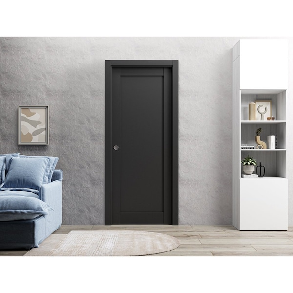 Sartodoors Sliding French Pocket Door 24 x 84in, Quadro 4111 Matte Black, Kit Trims Rail Hardware - QUADRO4111PD-BLK-2484