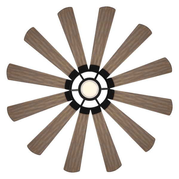 Modern Forms 12 Blades, 120 V, 65 in W - FR-W2201-65L