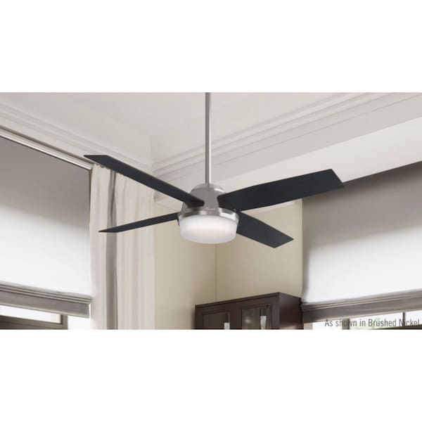 Hunter Decorative Ceiling Fan, 52 in Blade Dia, 4 Blades, 3 Speeds, 120V AC, Brush Nickel - 59216