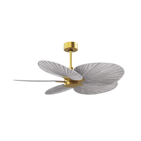 Matthews Fan Co Alessandra Tropical 5-Blade Ceiling Fan In Brushed Brass And Barn Wood Tone Blad - AKTP-BRBR-BW