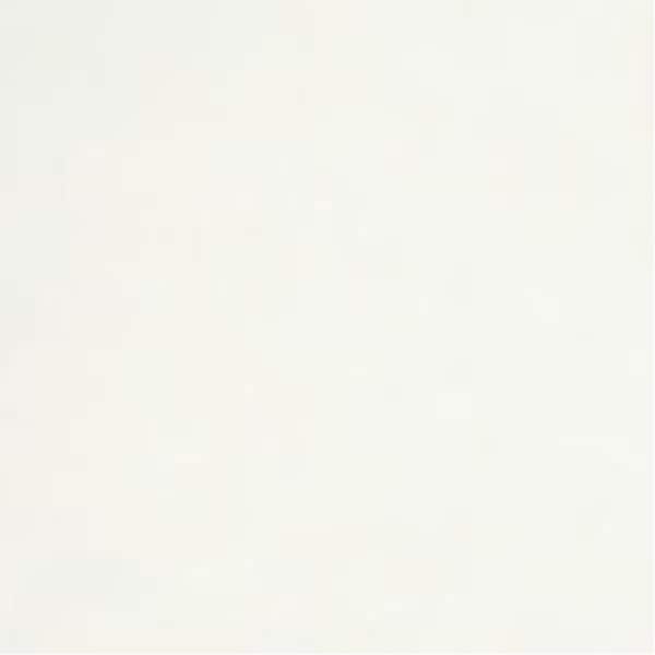 Westinghouse Westinghouse White Metal Ceiling Fan Down Rod - 77254