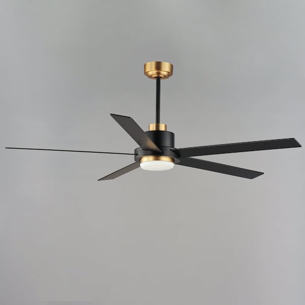 Maxim Lighting Daisy 60'' 5-Blade Fan w LED Light Kit, Black/Gold - 88826BKGLD
