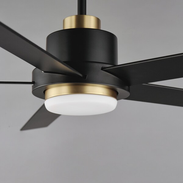 Maxim Lighting Daisy 60'' 5-Blade Fan w LED Light Kit, Black/Gold - 88826BKGLD