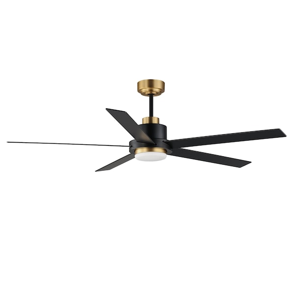 Maxim Lighting Daisy 60'' 5-Blade Fan w LED Light Kit, Black/Gold - 88826BKGLD