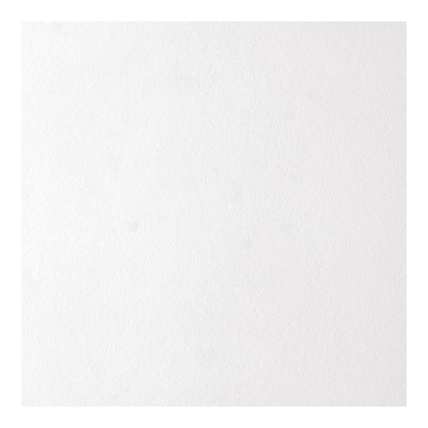 Usg Interiors 12x12 Ceil Tile - 4290