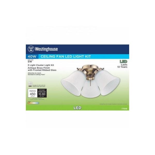 Westinghouse 3LGT AB Fros Fan Kit - 77848