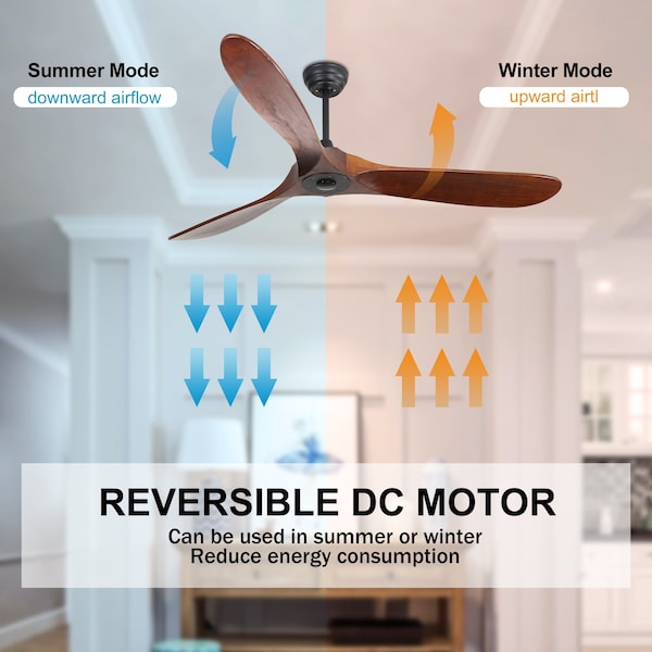 Bansa Rose 52in Black Indoor/Outdoor Ceiling Fan, Remote with Timer, 3 Blade - XY-M5203DC