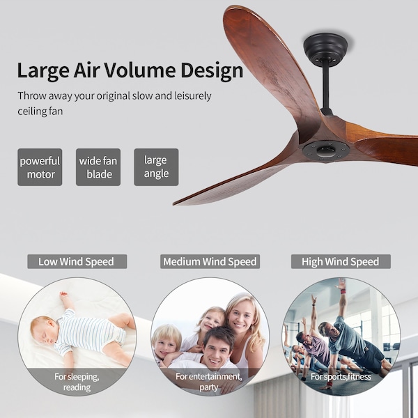 Bansa Rose 52in Black Indoor/Outdoor Ceiling Fan, Remote with Timer, 3 Blade - XY-M5203DC