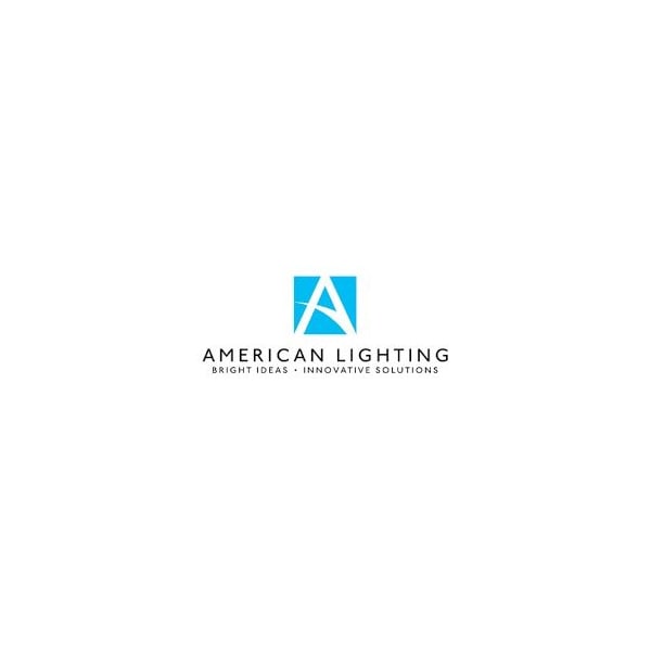 American Lighting 12-24V Dmx Wall Control 2Cct+2RgbWhite Req. Dmx-5A-4Z - DMX-2-2