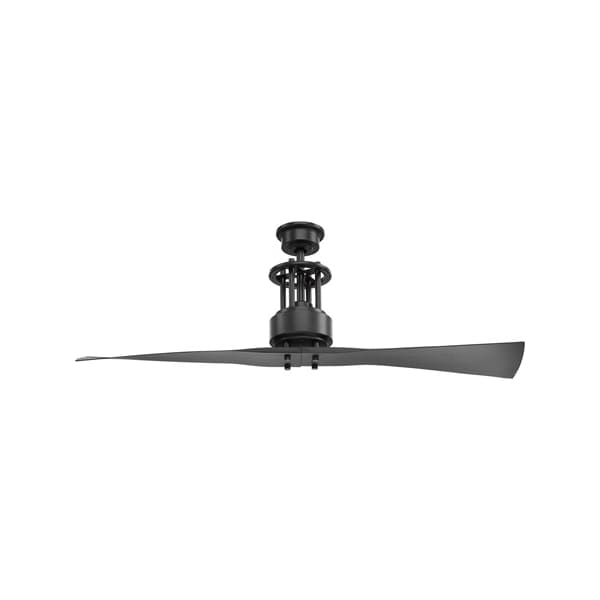 Progress Lighting Spades, 52", Ceiling Fan, 2 Blades, 6 Speeds, 120V, Graphite, 10-1/2 in W - P2570-143