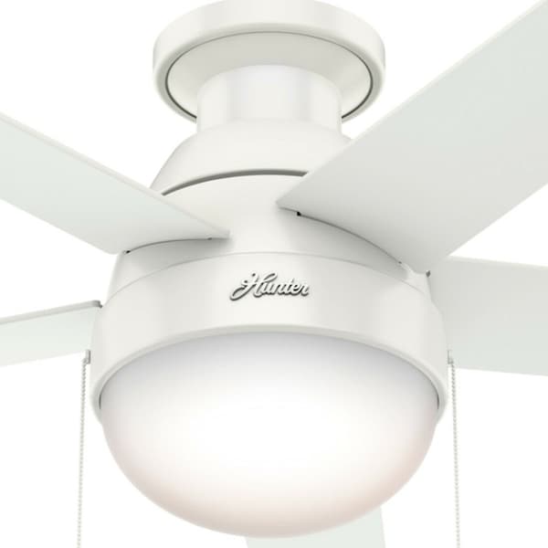 Hunter Decorative Ceiling Fan, Low Pro, 46 in Blade Dia, 5 Blades, 3 Speeds, 120, Fresh White - 59269