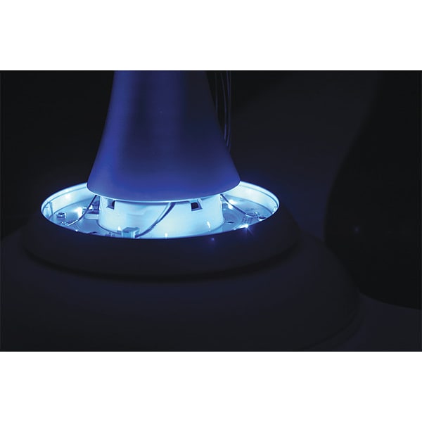 Big Ass Fans Ceiling Fan, 7 ft Blade Dia, 3 Blades, 7 Speeds, 100/240VAC, Black - B3213-X4-AB-04-02-D-01-G9