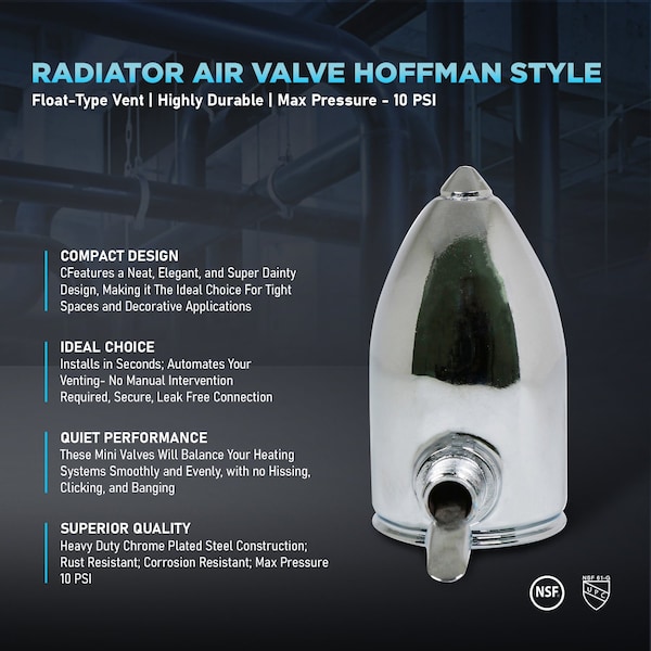 Everflow NPT Hoffman Steam Air Vent 1/8" - RAVHA18A