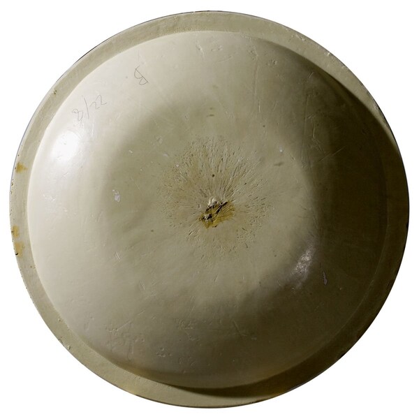 Ekena Millwork 26 7/8"OD x 25"ID x 3 7/8"D Dublin Recessed Mount Ceiling Dome - DOME26DU