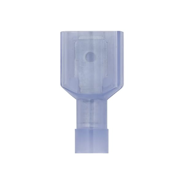 Terminal macho sin soldadura 50/pz - AV11605
