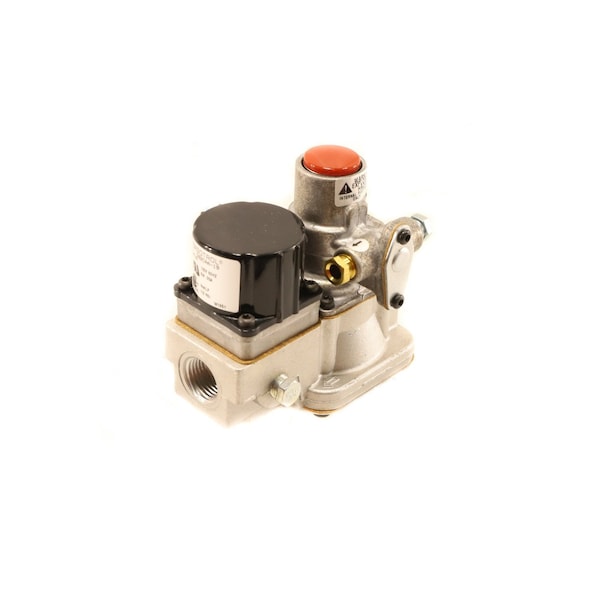 Baso 1/2 in. 120V AUTO PILOT & GAS VLV - G92CAA-19C-REVB