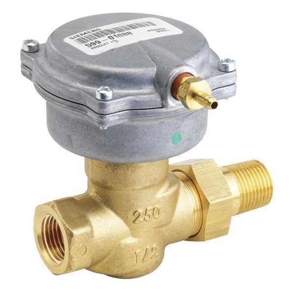 Siemens Zone Valve, Globe, 1/2 in. NPT - 257-02039