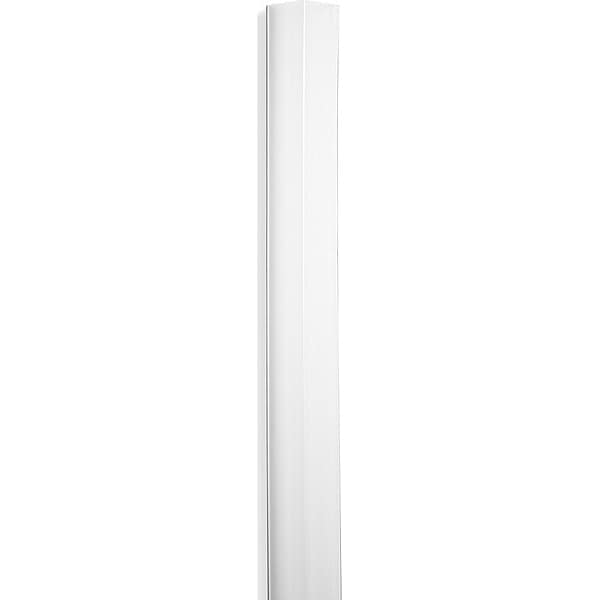 Acrovyn Corner Guard, Clear, Polycarbonate, 10 ft H - LG25010F
