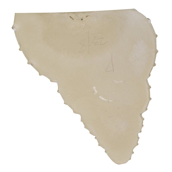 Ekena Millwork Wall Sconce, 12-1/2 in H, 10.13 in W, Factory Primed - SCO10X05X12SH