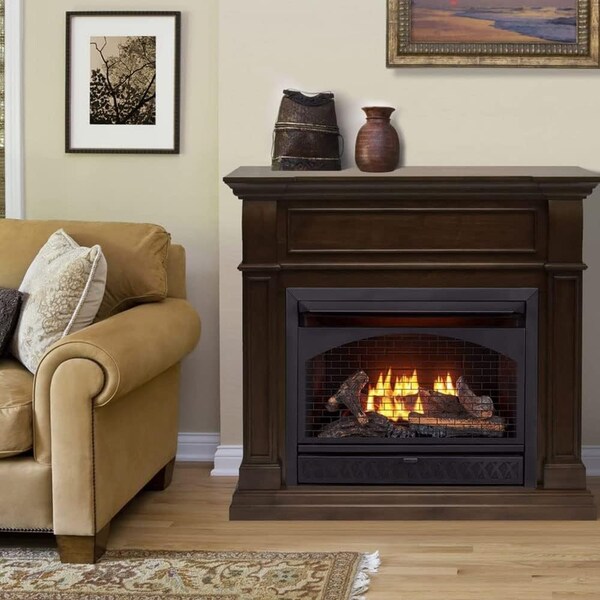 Procom Heating Dual Fuel Ventless Gas Fireplace, 26,000 BTU, T-Stat Control, Walnut Finish - FBNSD28T-J-W