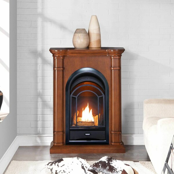 Procom Dual Fuel Ventless Gas Fireplace System - 10,000 Btu, T-Stat Contr - FS100T-3AS