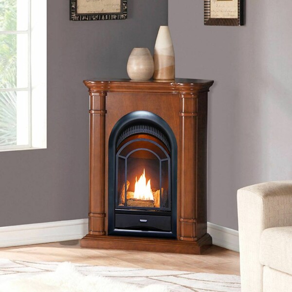 Procom Dual Fuel Ventless Gas Fireplace System - 10,000 Btu, T-Stat Contr - FS100T-3AS