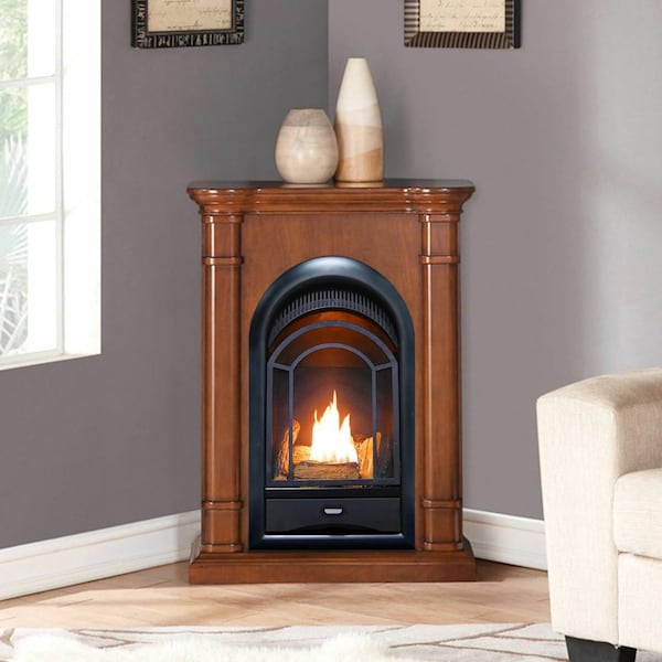 Procom Dual Fuel Ventless Gas Fireplace System - 10,000 Btu, T-Stat Contr - FS100T-3AS