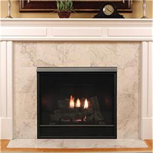 Empire Natural Gas Millivolt Deluxe Tahoe Clean-Face Direct Vent Fireplace Log Set with Blower - DVCD42FP31N