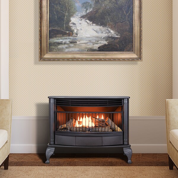 Procom Heating Procom Ventless Dual Fuel Gas Stove - 25,000 Btu, Remote Control Bl - QNSD250RT