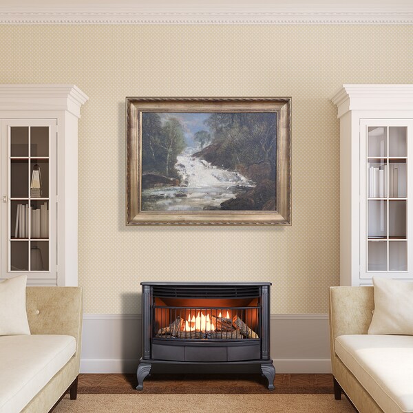 Procom Heating Procom Ventless Dual Fuel Gas Stove - 25,000 Btu, Remote Control Bl - QNSD250RT