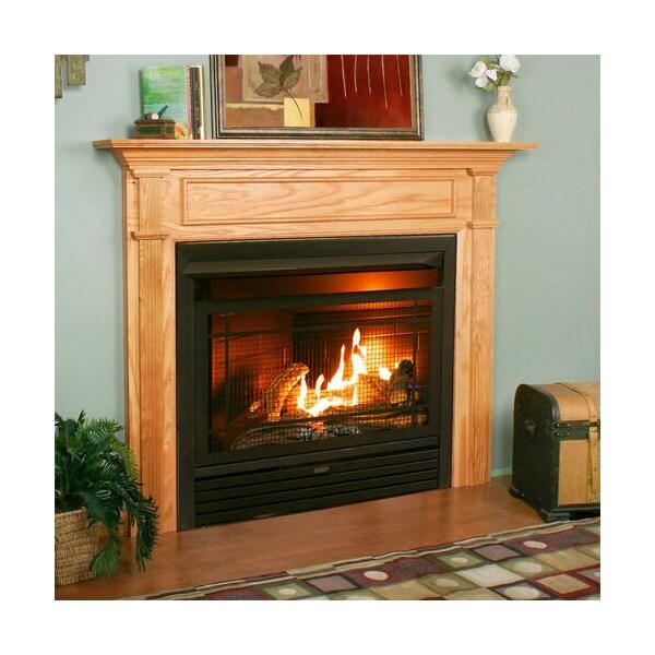 Duluth Forge Dual Fuel Ventless Gas Fireplace Insert - 26,000 Btu, Remote Control - FDF300R
