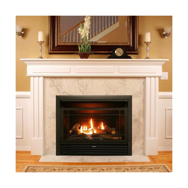 Duluth Forge Dual Fuel Ventless Gas Fireplace Insert - 26,000 Btu, Remote Control - FDF300R