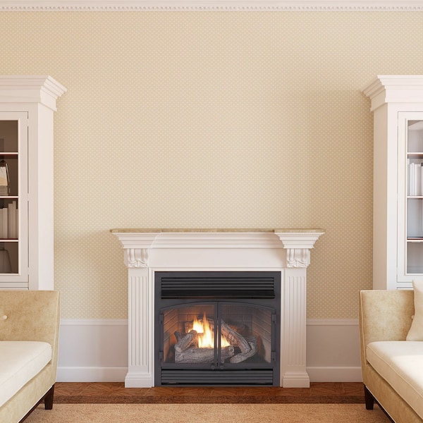 Duluth Forge Dual Fuel Ventless Gas Fireplace Insert - 32,000 Btu, T-Stat Cont - FDF400T-ZC