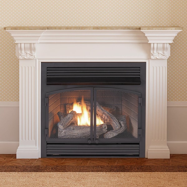 Duluth Forge Dual Fuel Ventless Gas Fireplace Insert - 32,000 Btu, Remote Control - FDF400RT-ZC