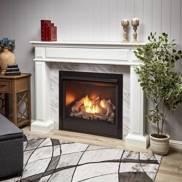 Duluth Forge 32,000 Btu, Dual Fuel Propane And Natural Gas, Yellow Flame, Zero C - FDI32R