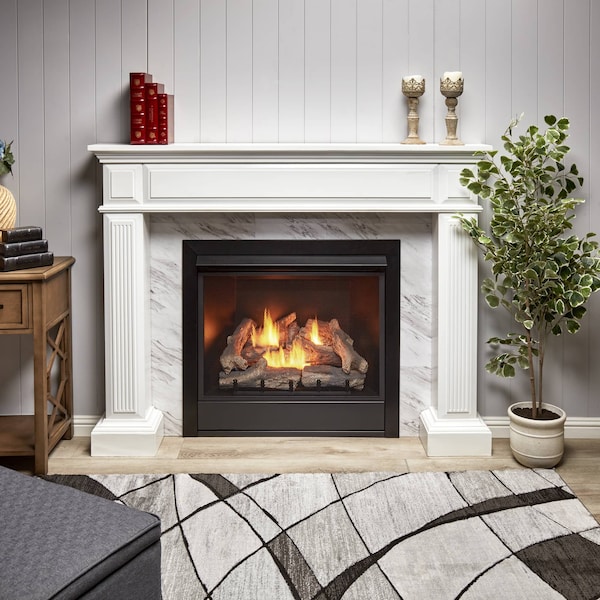Duluth Forge 32,000 Btu, Dual Fuel Propane And Natural Gas, Yellow Flame, Zero C - FDI32R