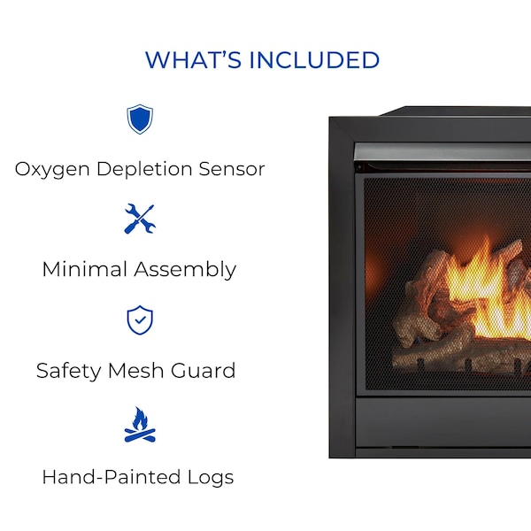Duluth Forge 32,000 Btu, Dual Fuel Propane And Natural Gas, Yellow Flame, Zero C - FDI32R