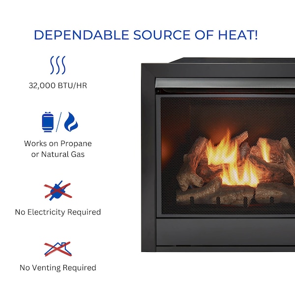Duluth Forge 32,000 Btu, Dual Fuel Propane And Natural Gas, Yellow Flame, Zero C - FDI32R