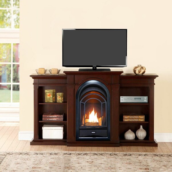 Procom Dual Fuel Ventless Gas Fireplace System - 10,000 Btu, T-Stat Control - FS100T-CBS
