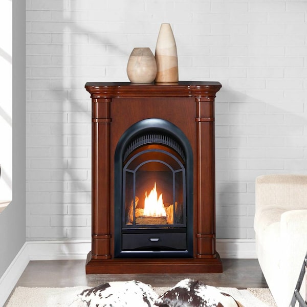 Procom Dual Fuel Ventless Gas Fireplace System - 10,000 Btu, T-Stat Control - FS100T-3W