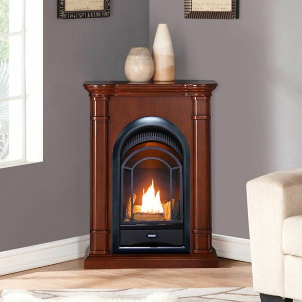 Procom Dual Fuel Ventless Gas Fireplace System - 10,000 Btu, T-Stat Control - FS100T-3W