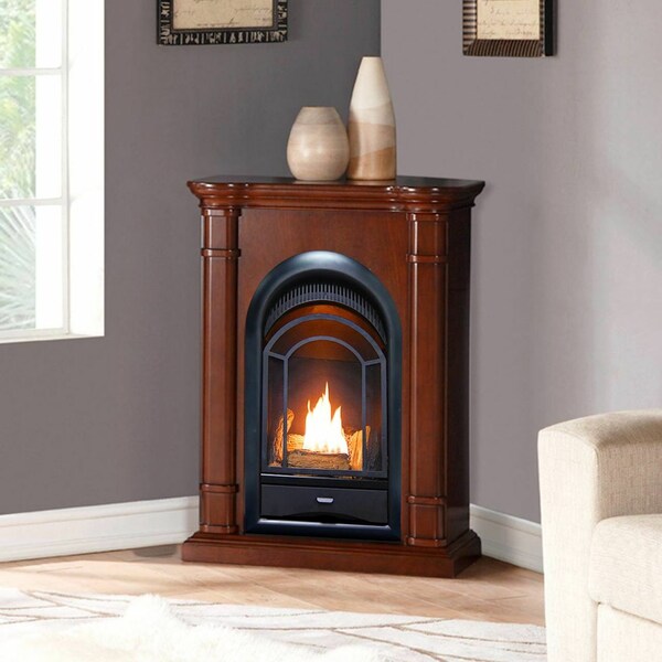 Procom Dual Fuel Ventless Gas Fireplace System - 10,000 Btu, T-Stat Control - FS100T-3W