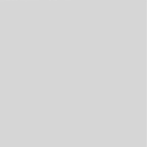 Ekena Millwork Harrison Raised Panel Decorative Wall Panel, 16"W x 16"H x 5/8"P - WALP16X16X062HAR