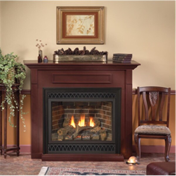 Empire Natural Gas Millivolt Direct-Vent Fireplace with Blower - DVD32FP31N