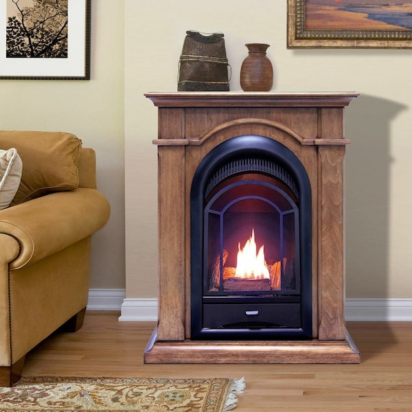 Procom Dual Fuel Ventless Gas Fireplace System - 10,000 Btu, T-Stat Control - FS100T-TA