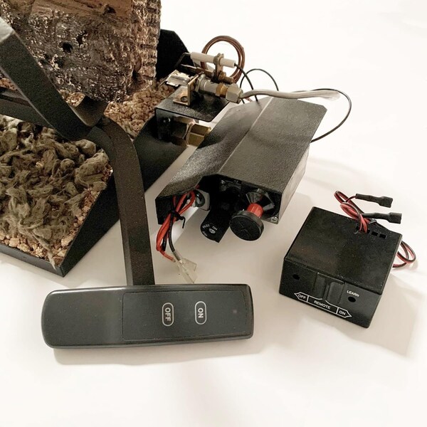 Procom Heating Heating Vented Natural Gas Log Set With Remote Control Kit, 24 in, 55,000 BTU - WAN24N-2-RO