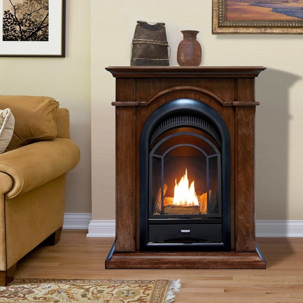Procom Dual Fuel Ventless Gas Fireplace System - 10,000 Btu, T-Stat Contr - FS100T-W