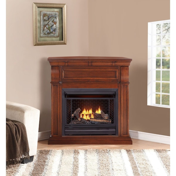 Bluegrass Living Vent Free Natural Gas Fireplace System, 26,000 BTU, Remote Control, Chestnut Oak Finish - B300RTN-1-CO