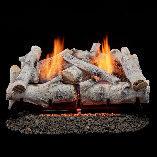 Bluegrass Living Vent Free Dual Fuel Log Set, 24 in Birch Wood, 33,000 BTU, Remote Control - B24DR-ES3
