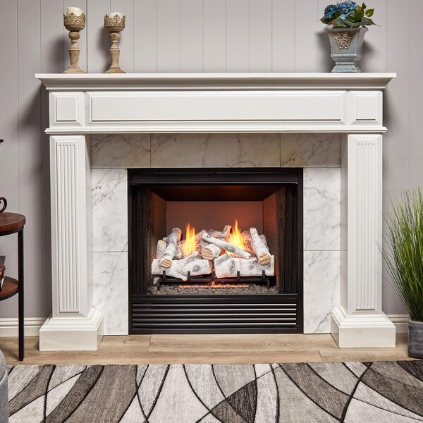 Bluegrass Living Vent Free Dual Fuel Log Set, 24 in Birch Wood, 33,000 BTU, Remote Control - B24DR-ES3